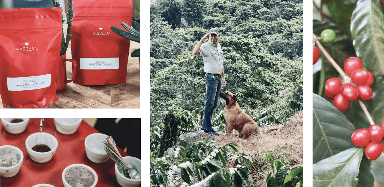 Un collage de photos de Hasbean. Dans le sens des aiguilles d'une montre : Deux paquets rouges de café Hasbean,
Steve et son chien dans la plantation de café, baies rouges de café sur une branche,
tasses de café
