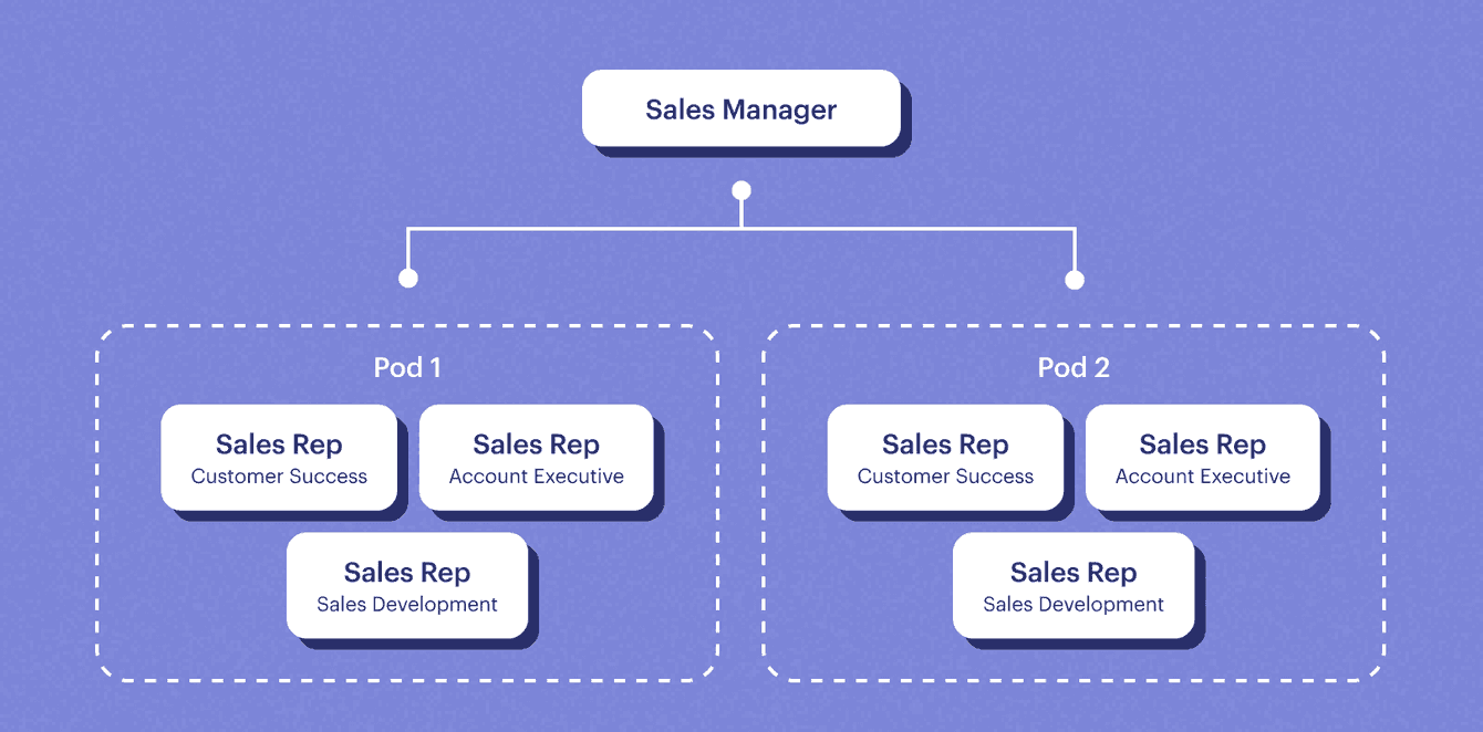 a sales team structure diagram
