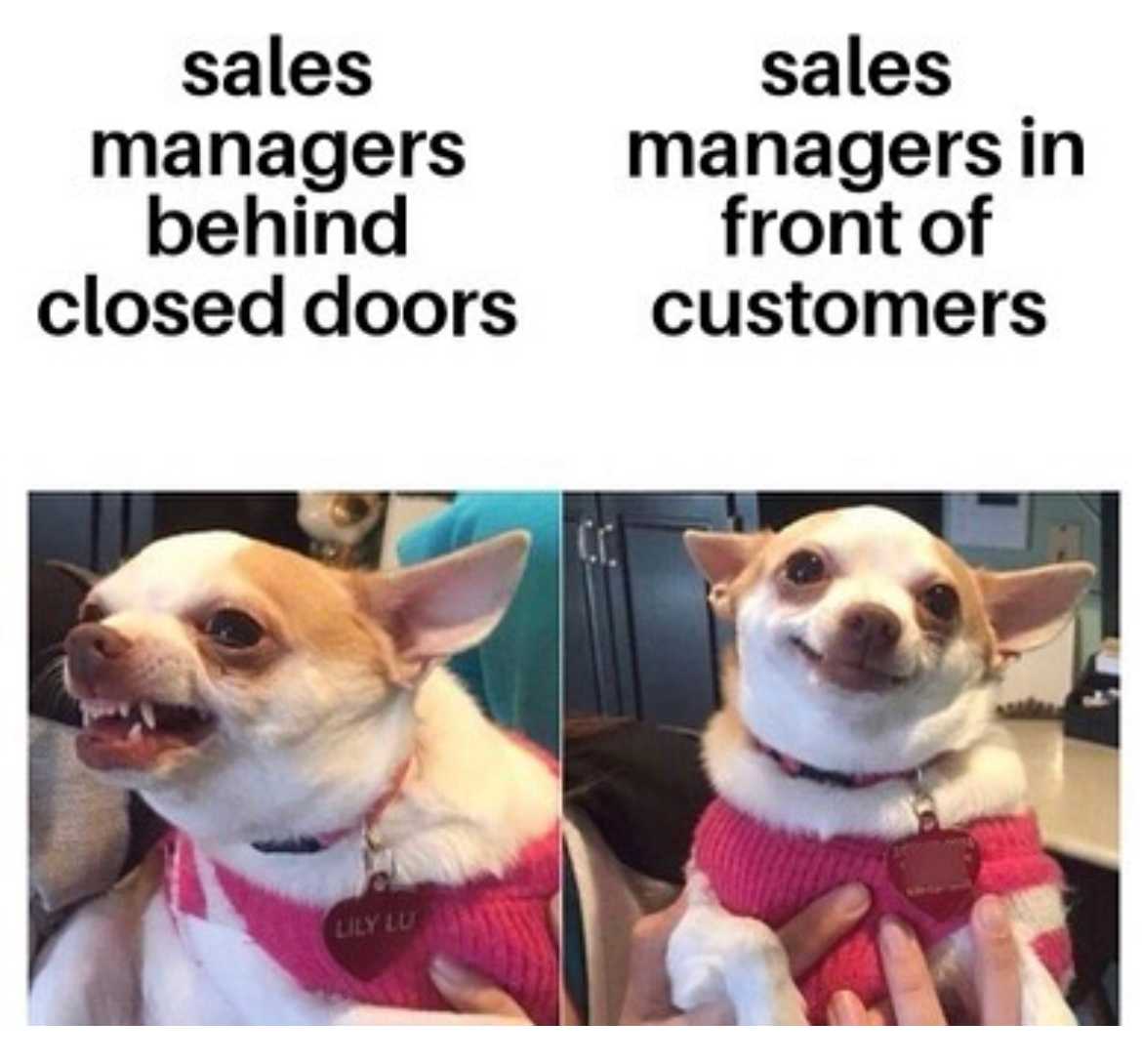 Sales Meme 30