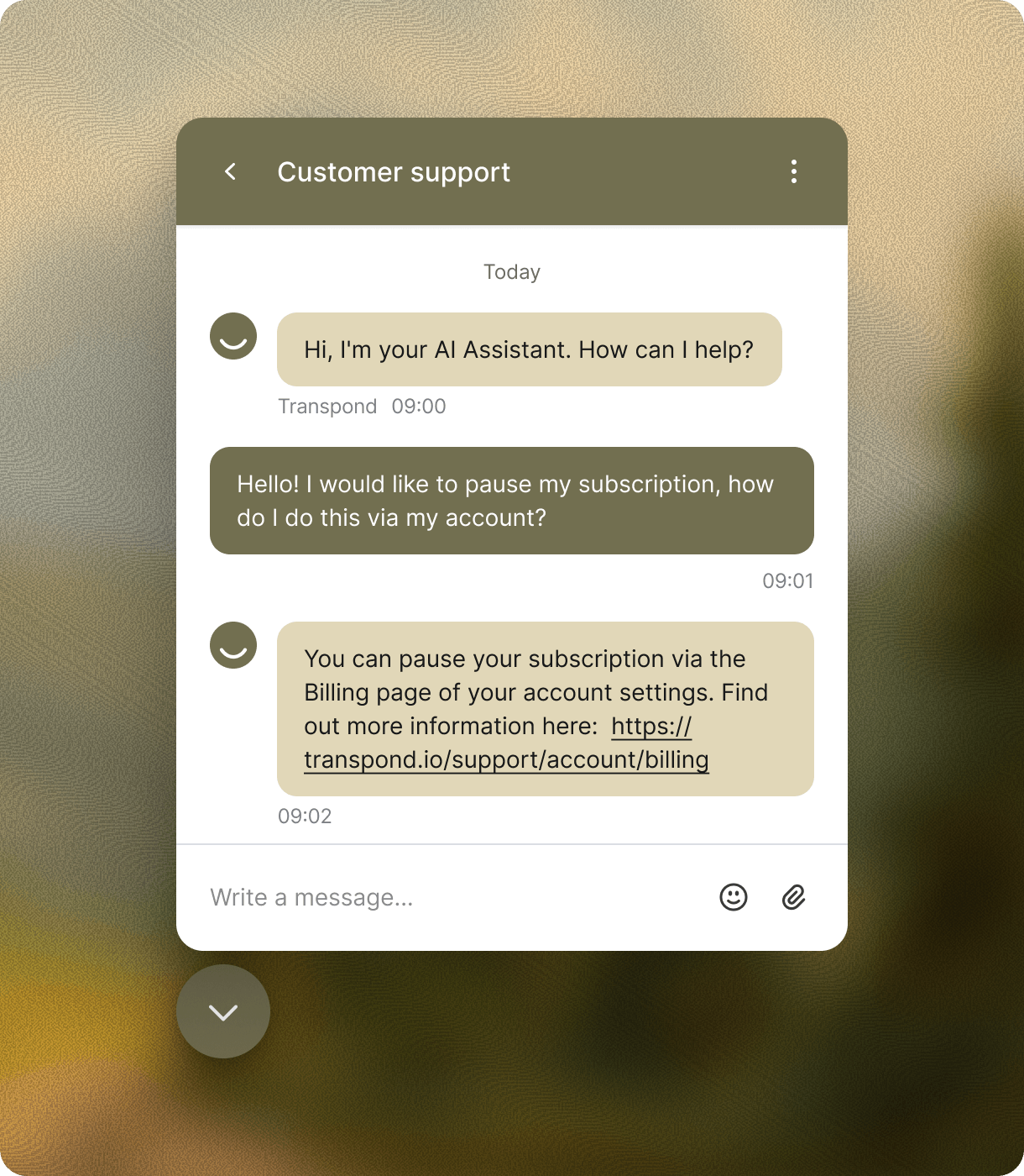 Transpond's Conversations feature showing a customer service chatbot