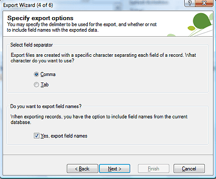 Especifique o prompt da opção com o botão de opção "vírgula" e a opção "sim, exportar nomes de campos" selecionada