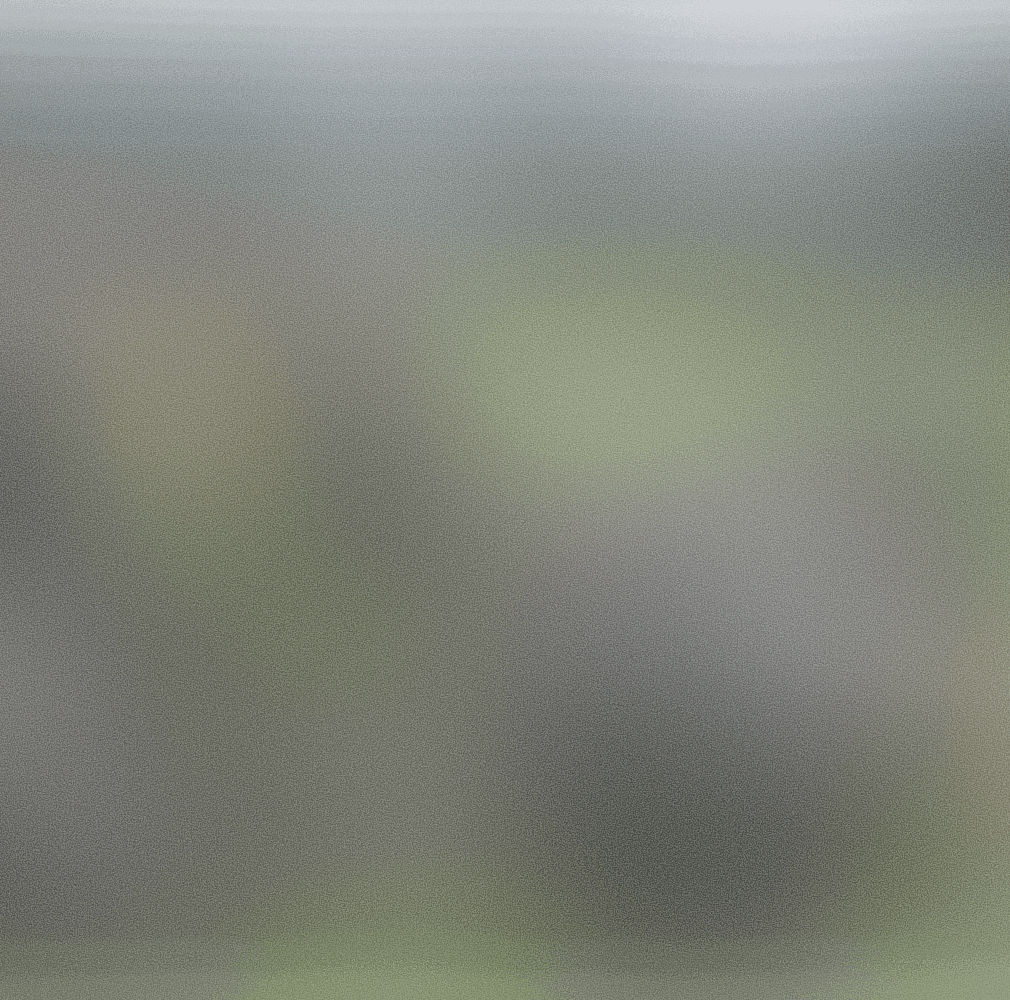 Rolatube logo for Capsule customer story