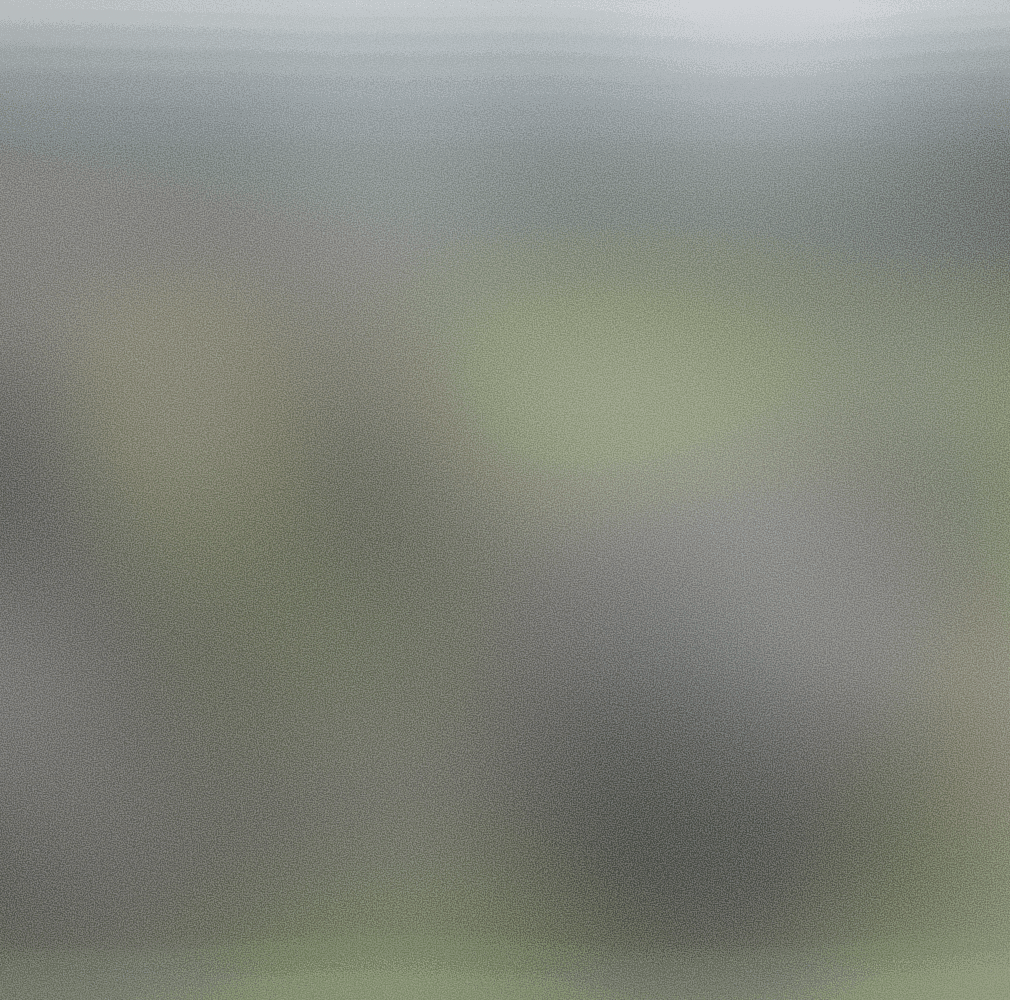 Logotipo de Rolatube para la historia de un cliente de Capsule