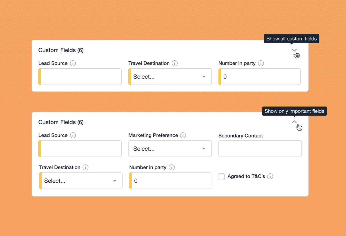 Example of custom and important fields in the Capsule CRM